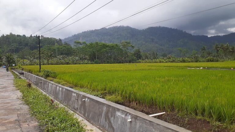 Program TNI Manunggal Membangun Desa (TMMD) ke-126 Kodim 0818/Malang-Batu kembali menunjukkan hasil nyata dalam meningkatkan kesejahteraan masyarakat pedesaan.