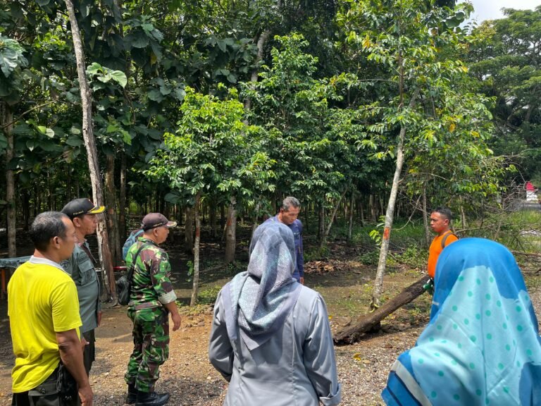 Babinsa Desa Glagahagung Dampingi Pengukuran Tanah Pembangunan KDKMP oleh Perhutani