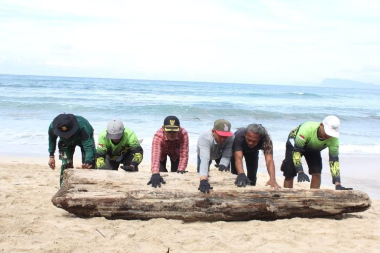 Wujudkan Kawasan Wisata Bersih dan Indah, Personel Gabungan Evakuasi Sampah Kayu di Pantai Pancur Banyuwangi
