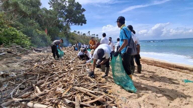 Sinergi Tanpa Batas TNI dan Warga ‘Geruduk’ Pantai Pancur Bersihkan Sampah Kayu