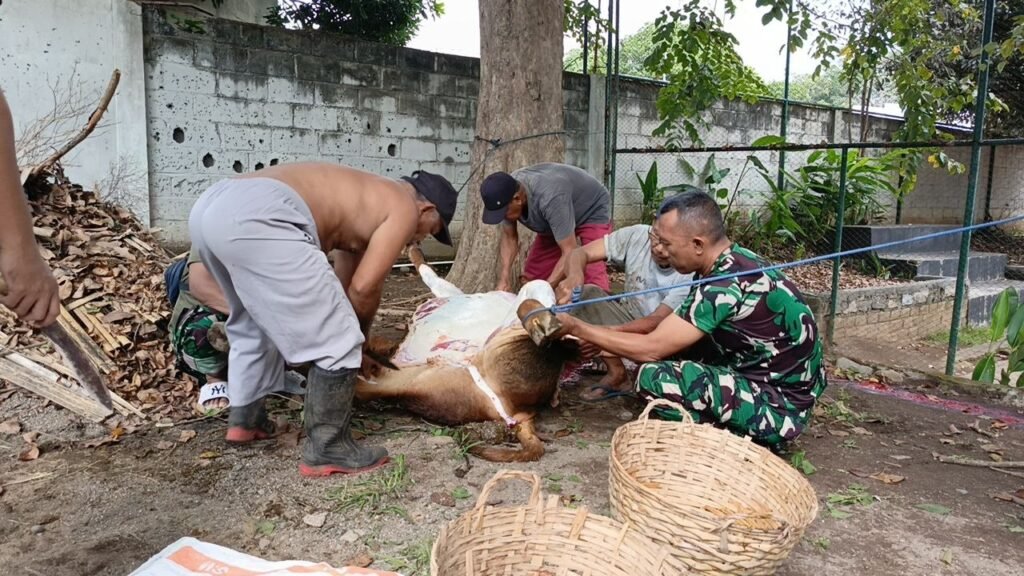 Penuh Khidmat Dan Kebersamaan Kodim 0825/Banyuwangi Gelar Shalat Idul Adha Dan Penyaluran Hewan Qurban